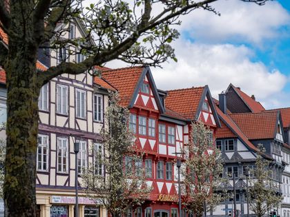 Häuserzeile aus Fachwerkhäusern mit blühenden Bäumen davor
