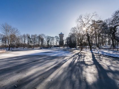 Winterlicher Stadtgraben mit tiefstehender Sonne und langen Schatten