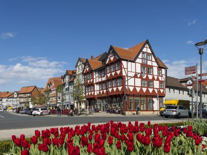 Eine Häuserzeile im Sonnenschein, an der Straßenecke ein großes rot-weißes Fachwerkhaus, Im Vordergrund leuchtend rote Tulpen